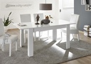 Mesa Extendible "Luis"
