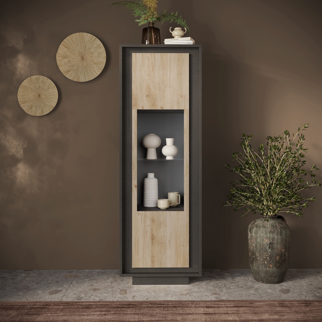 Vitrina de 1 Puerta "Lionel"