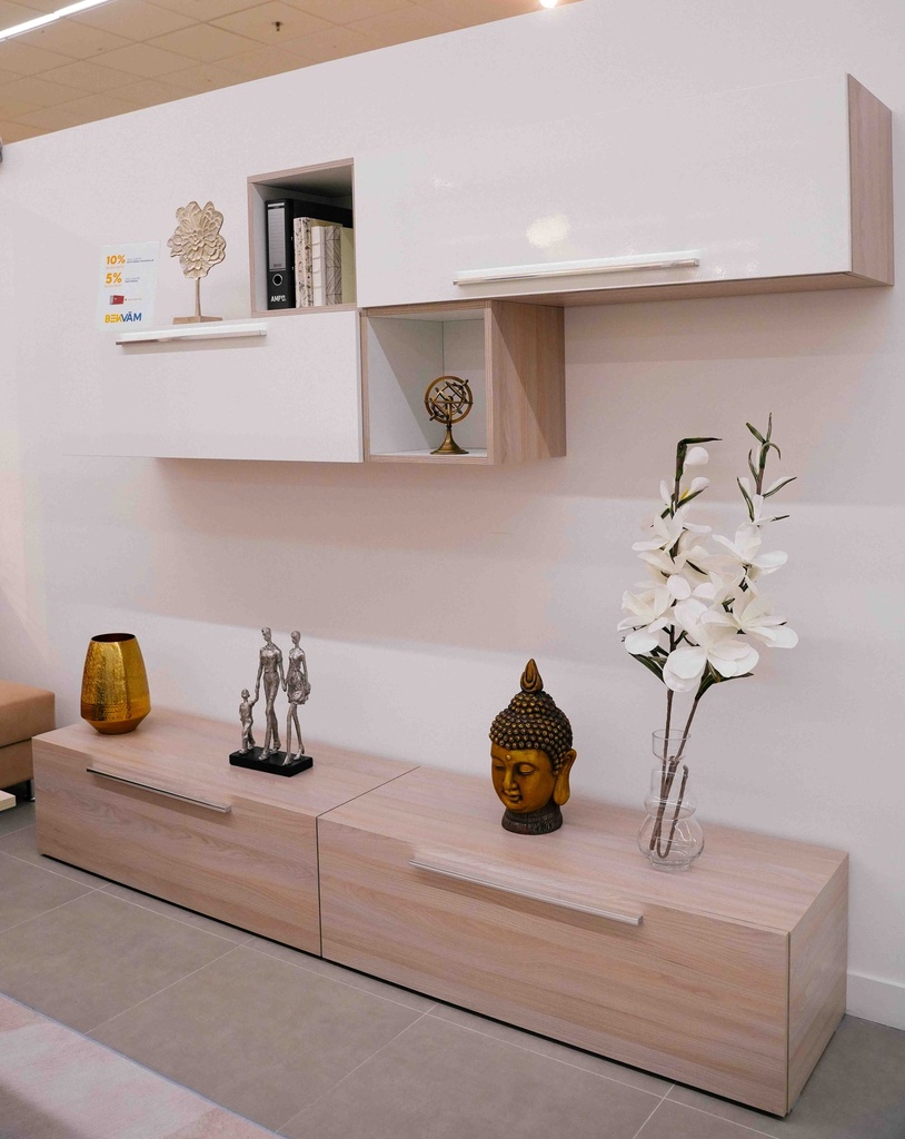 Entertainment Center "Fly"